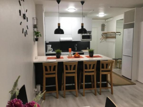 2BR Apartment, free parking in the street -Allitie 4